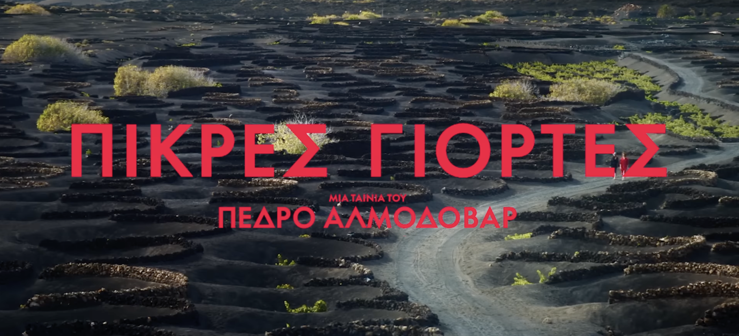 ΠΙΚΡΕΣ ΓΙΟΡΤΕΣ | BITTER CHRISTMAS